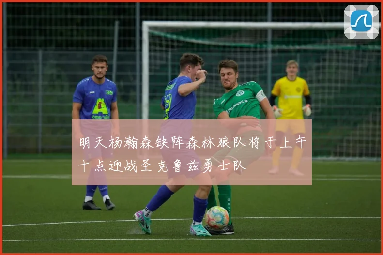 明天杨瀚森缺阵森林狼队将于上午十点迎战圣克鲁兹勇士队