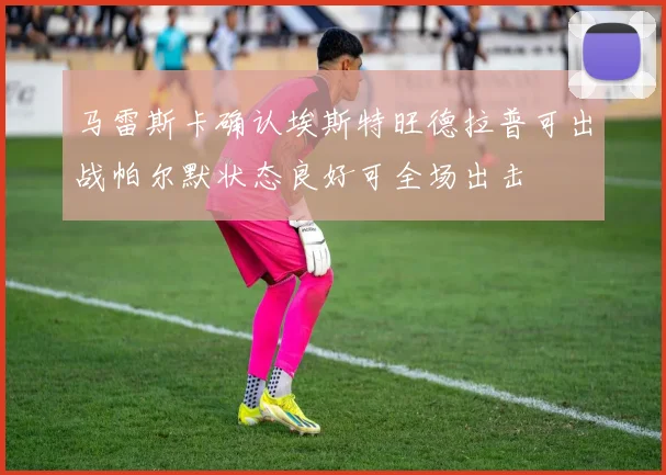 马雷斯卡确认埃斯特旺德拉普可出战帕尔默状态良好可全场出击